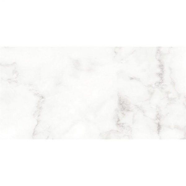 Fogy 60x120