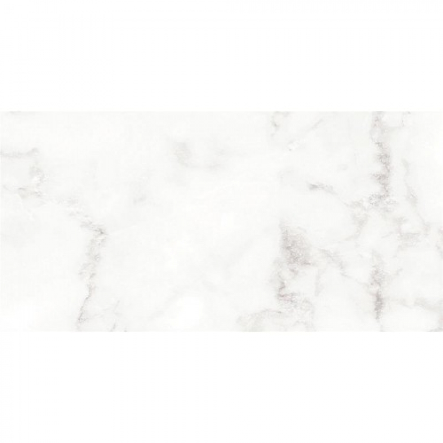 Fogy 60x120
